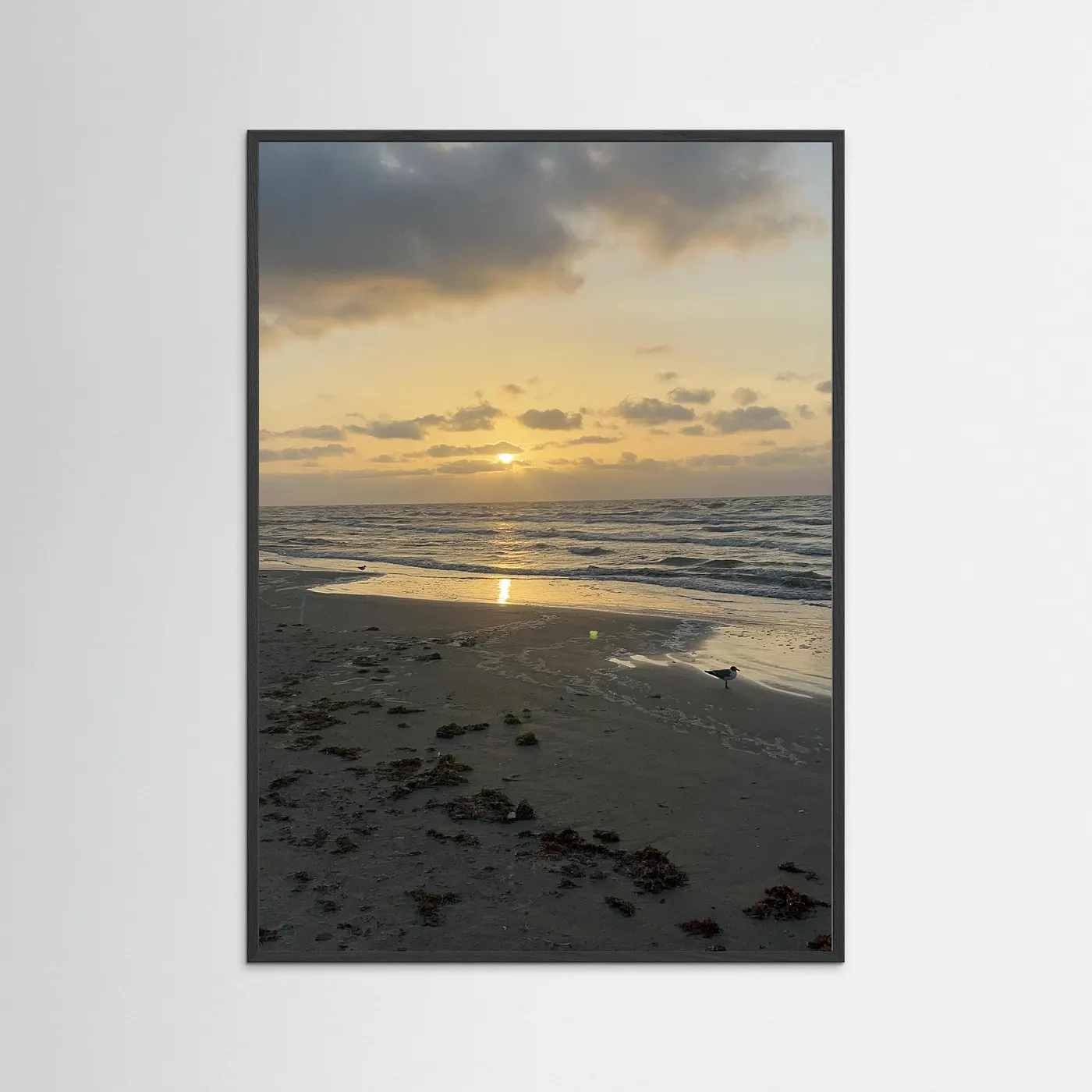 Iluminado por el Sol